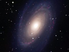 M 81 (NGC 3031)